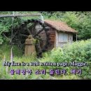 메기의 추억 이미지