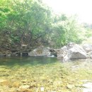 미사리촌집 이미지