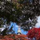 솔빛도서관 | 남산 하늘숲길 후기｜서울 도심 속 가을 단풍 산책 주말 주차 정보 및 포토존 정리