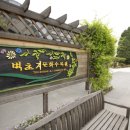 세븐일레븐(남대문본점)