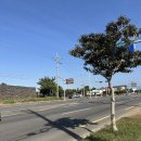 추사김정희유배지 | 제주여행 가볼만한곳 서귀포 추사 김정희 유배지