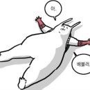 라조콩드 이미지