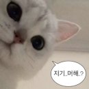 돈뼈랑 감자탕 이미지