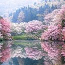 주산목장 이미지