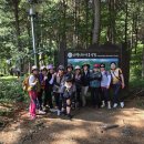 2026년7월12일야유지(입구지계곡) 이미지