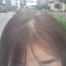 포레포레헤어 오류점 | 구로미용실 포레포레헤어 오류점 뿌리염색 후기~ 가성비 GOOD!!!