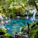 돈내코로 이미지