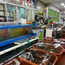 울진대게집일출 이미지