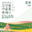 고인돌유적지제4쉼터(핑매바위) | [여행] 입장료가 환급된다고? 2025 화순 고인돌 가을꽃 축제, 역대급 혜택 총정리!