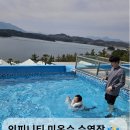 비토짐 | 경남글램핑 사천 비토노을숲, 역대급 시설에 미온수 수영장까지 대만족 후기