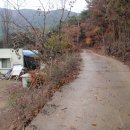 골안농장 이미지