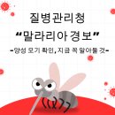삼일행정사 이미지