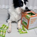 (주)펫퍼스바이오캠 | 강아지 치석제거 덴탈껌 스마일리츄: 양치 없이 간편한 입냄새 관리