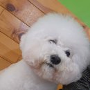 큐티멍 이미지