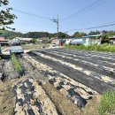 31576 여주시 대신면 송촌리 대,도 395㎡ ( 119.49평 ) 평당55만 매매6572만원 이미지