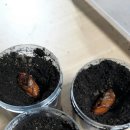 용화 농장 이미지