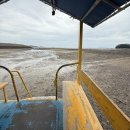 갯벌 | 선도리 갯벌체험 후기 및 서천리 여행동선