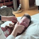 커밍 | 평택 홈스냅 뉴본 촬영 커밍업로즈 후기