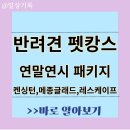 반려견 동반 호텔 연말연시 애견 동반 패키지(컨싱턴,제주 메종, 조선호탤) 이미지