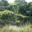 태흥1리 이미지