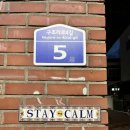 스테이 심심 이미지