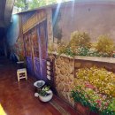 카페베네은파호수점 이미지