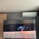 임신일기 31-33주 임신9개월 성심당 임산부프리패스 직장병가로 마무리된 5월