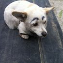 남창시장 이미지