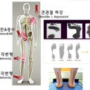 알리바바한의원 이미지