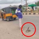 도그스타동물병원 이미지