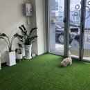 하이파이브 독스 이미지