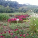 목인동영농조합 이미지