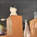 왓쇼이짱 이미지