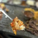 푸른바당돼지