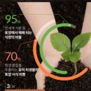 흙이야기 이미지