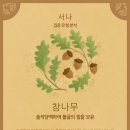 포레스트(forest) 이미지