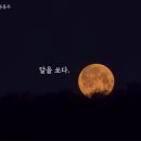 달을 쏘다/ 윤동주 이미지