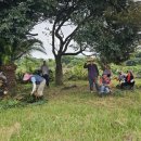 수산2리 이미지