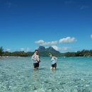 로맨틱 피크닉 이미지