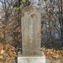 전계심의 묘비 이미지