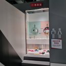 토오골어린이공원 | 마곡 챔피언 더 블랙벨트 원그로브점 후기 타워 클라이밍 도전 성공