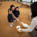 둥이농장 | 🐣 [동탄 근교] 14개월 아기랑 나들이, 무럭무럭농장!