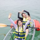 함덕돌핀레저 이미지