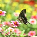 신구대학교 이미지