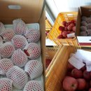 금화농원 이미지