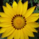 산정농장 이미지