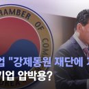 미국 기업 "강제동원 재단에 기부"…한국 기업 압박용? 이미지