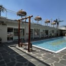 할로하우디(HALO HOWDY) 이미지