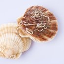 모아산부인과 - 논산시 | 모아산부인과