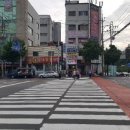 산호동물병원 이미지